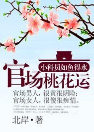 《官道之步步高升/官场桃花运》