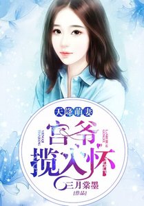 《天降萌妻:宫爷揽入怀》