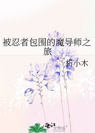 《(火影同人)被忍者包围的魔导师之旅》